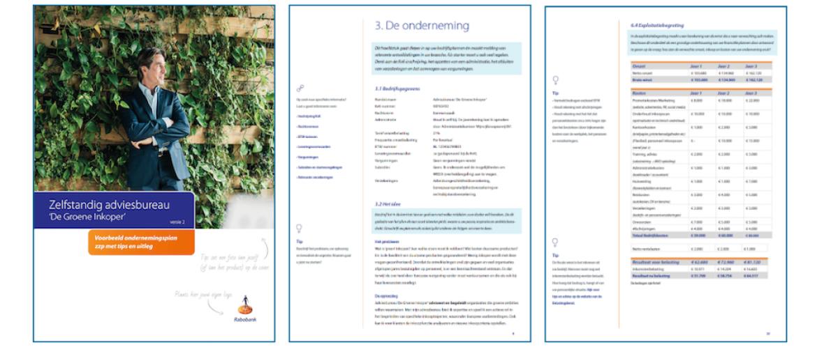 Financieel plan voorbeeld downloaden