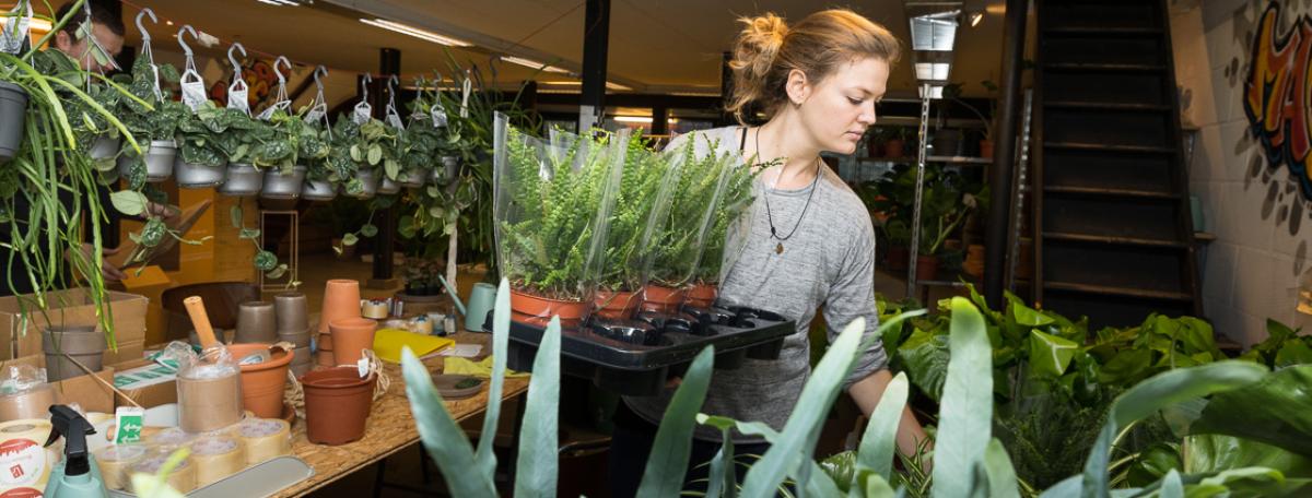 Sprinklr planten Sprinklr planten